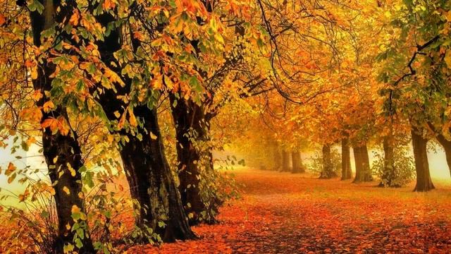 Поспеши. Стихи Анны Масловой. ; музыка и исполнение Сергея Морина смотреть онлайн