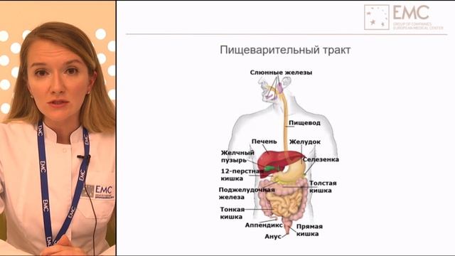 Микробиота и здоровье могут ли бактерии заставить нас полнеть