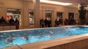 Красивый танец на воде - синхронное плавание