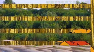 Презентация Лес и человек