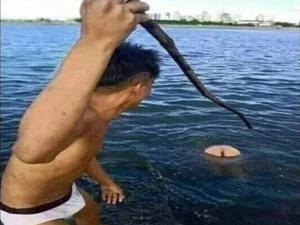 Да нет, наверное