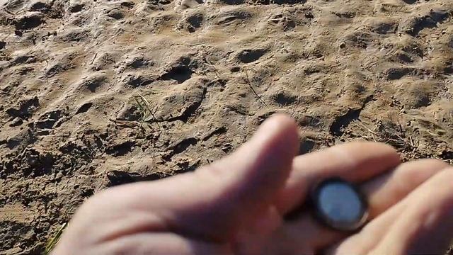 Реванш. Коп на пляже возле Полыкович,г Могилёв.#metaldetectorhobby #могилевonline #belarus #коп