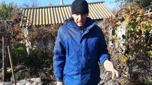 Повышение урожайности земли.Улучшение плодородия почвы.