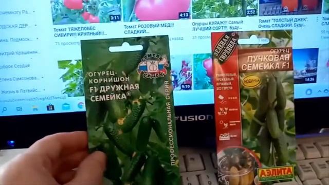 Огурцы "ДРУЖНАЯ СЕМЕЙКА F1" и "ПУЧКАВАЯ СЕМЕЙКА F1". Мои Любимые Сорта ОГУРЦОВ. 31 января 2021г. смотреть онлайн