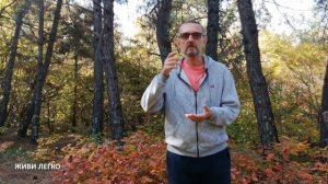 Шанк Пракшалана по-русски. Простая и комфортная чистка