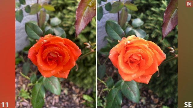iPhone 11 vs. iPhone SE/6s Camera Comparison смотреть онлайн