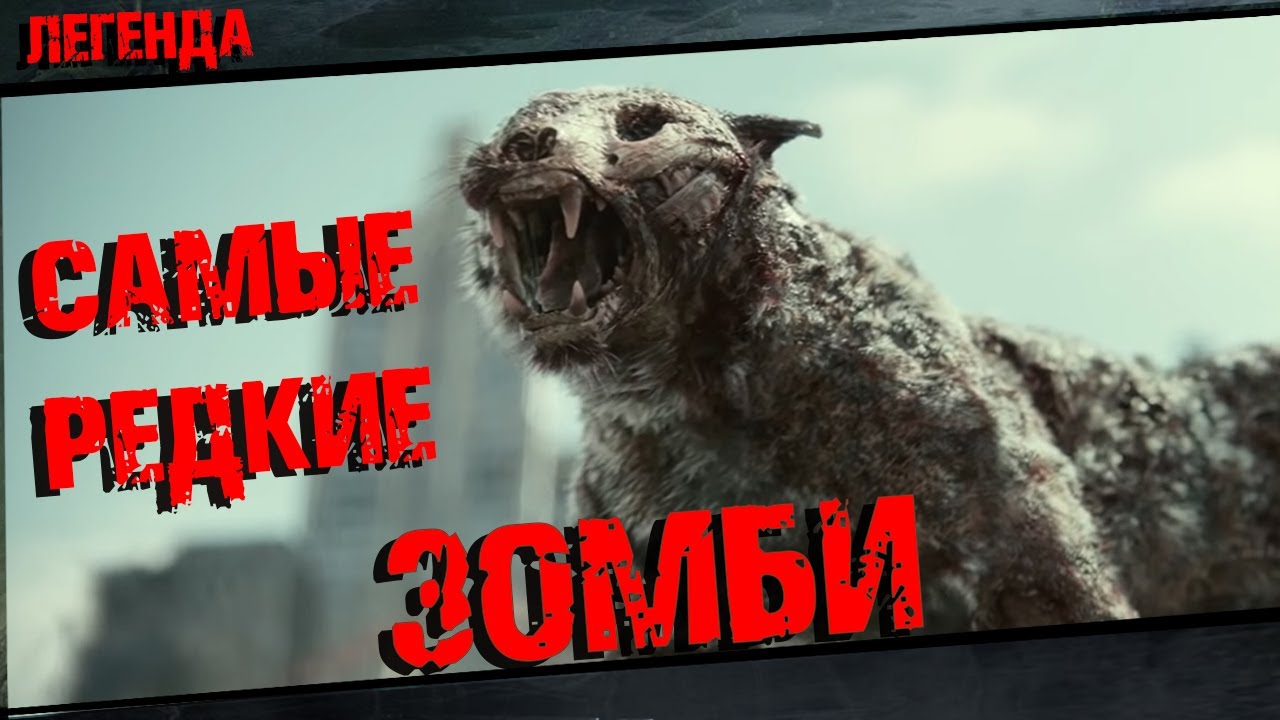 Зомби животные - Самые редкие виды смотреть онлайн