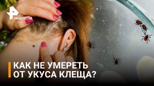 Нашествие клещей в России. Как защититься? / РЕН Новости