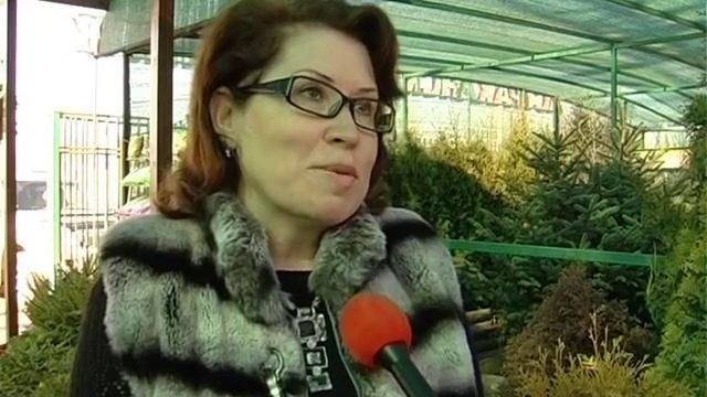 Ast Pitomnik REN TV