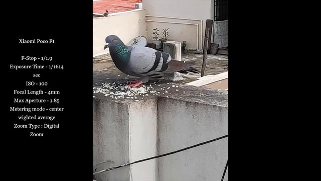 Are Point and Shoots Worth it? Fujifilm S6800 review смотреть онлайн