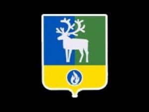 Заседание Совета депутатов городского поселения Белоярский четвертого созыва (06.12.2021)