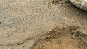 В Таджикистане разрешили добычу ЗОЛОТА