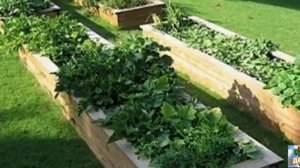КАК СДЕЛАТЬ УДОБНЫЕ ГРЯДКИ СВОИМИ РУКАМИ  Красивые грядки в саду и на даче