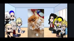 Tokyo revengers react to takemichi's pets