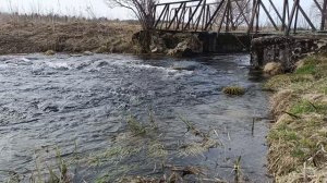 бурная речка в Ленинградской области