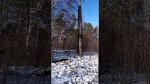 Демонтаж опоры ЛЭП 0,4кВ