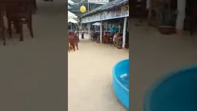 Прекрасный пляж Лонг Бич на Фукуоке смотреть онлайн