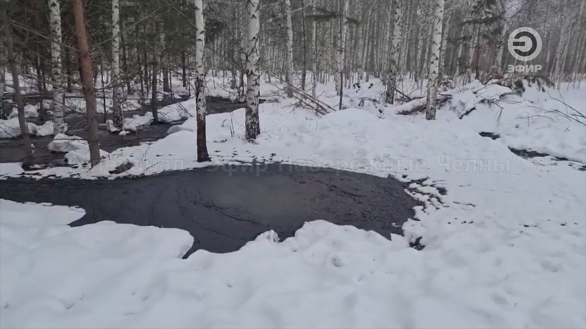 ЧЕРНОЕ БУРЛЯЩЕЕ БОЛОТО В ЛЕСУ В НЕСКОЛЬКИХ КИЛОМЕТРАХ ОТ ЧЕЛНОВ.