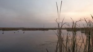 Охота на утку 20.09.22.mp4