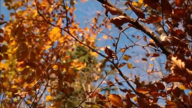 Dmitri Hvorostovsky.  Romance. Plaintively the autumn wind groans. Жалобно стонет ветер осенний.