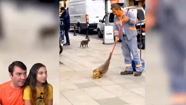 СМЕШНЫЕ КОТЫ СНИМАЮТ ТИКТОК 🙀! Коты и Собаки в ШКОЛЕ! НЕ ЗАСМЕЙСЯ ЧЕЛЛЕНДЖ Funny Cats Валеришка смотреть онлайн