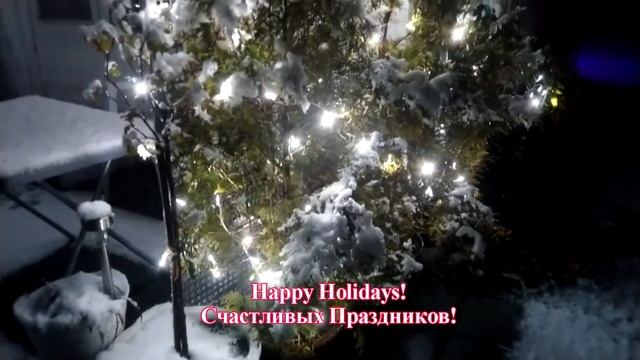 Happy Holidays from Leo and Mini! Norway 2020/ Счастливых Праздников от Лео и Мини! Норвегия 2020 смотреть онлайн