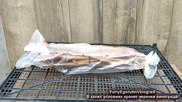 ? Как правильно ХРАНИТЬ ЧЕРЕНКИ ВИНОГРАДА зимой. Без ЭТОГО ВИНОГРАДНАЯ ЛОЗА просто ЗАДОХНЕТСЯ! смотреть онлайн