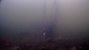 Окунь Vs Ротан - кто смелее по первому льду?