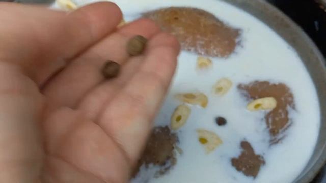 Сочная Куриная Грудка Куриное Филе в Молоке готовим с вами вместе #куринаягрудка #куриноефиле