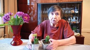 Как ухаживать за гиацинтом в домашних условиях