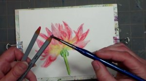 Pretty Pink Multi Petal Flower in Watercolor Pencils REAL-TIME tutorial