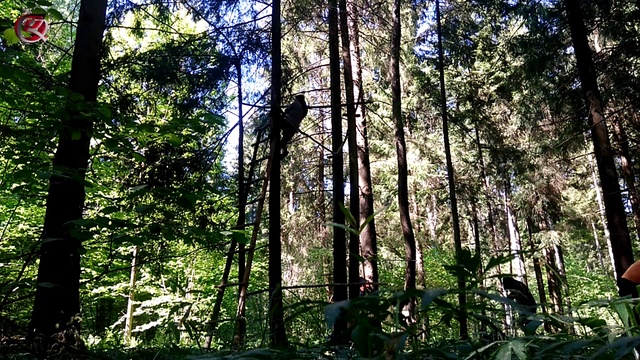 классная туса в лесу смотреть онлайн