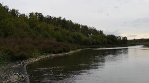 Рыбалка кастинговой сетью на пруду в Липецкой области.
