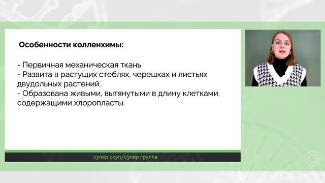 СУПЕР БИОЛОГИЯ - МЕХАНИЧЕСКАЯ ТКАНЬ - ЕГЭ 2021 смотреть онлайн