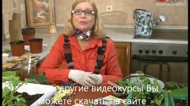 Готовимся к весне: Цветы