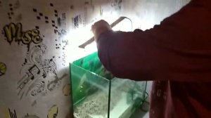 Замена грунта в аквариуме