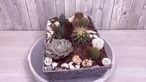 Композиции из комнатных растений