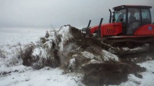 мтз-1502 Оршанское ПМС