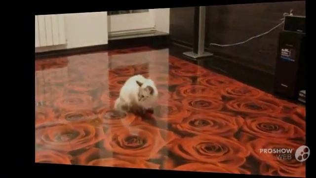 Лучший_наливной_пол. Наливной_пол_универсальный
