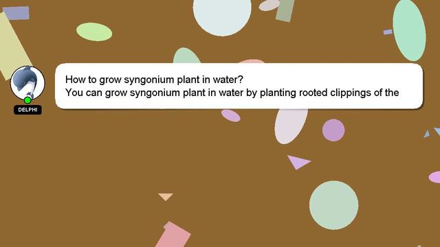How To Grow Syngonium Plant In Water?
