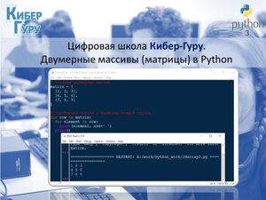 Двумерные массивы в Python
