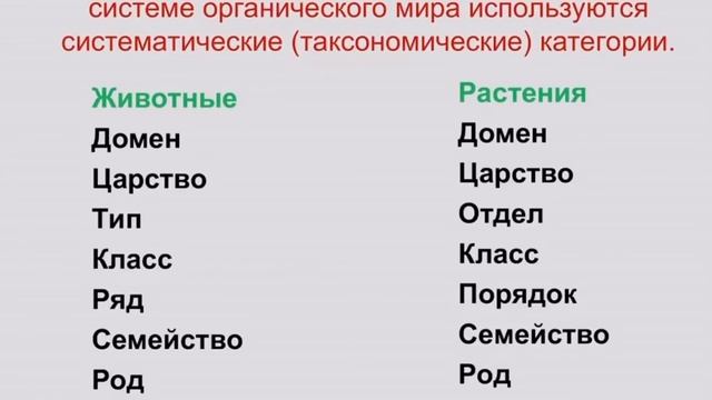 9 класс. Биология. Биоразнообразие. Основы эволюционной филогении и систематики.