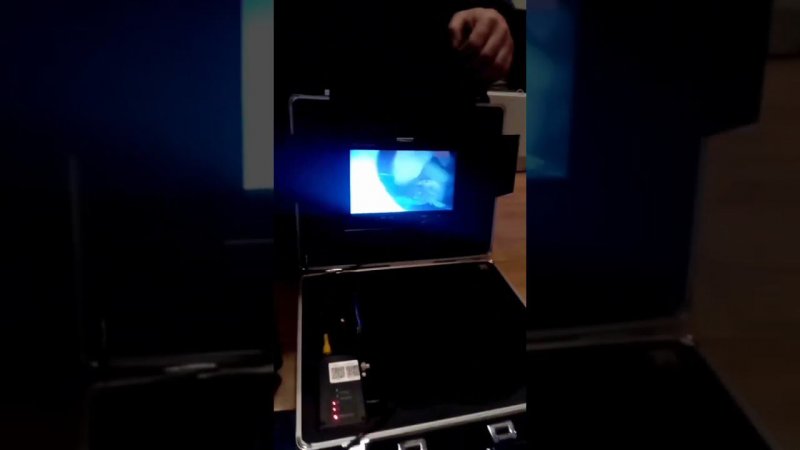 Кто то вылил суп в унитаз. Кто бы это был?