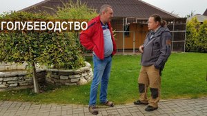 Первый голубедром в республике Беларусь . Спортивное голубеводство Владимира Комарова