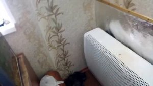 как увеличить КПД газового конвектора