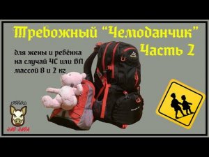 Тревожный чемоданчик. Часть 2. Семейный. Масса 8 кг и 2 кг. Продолжение.