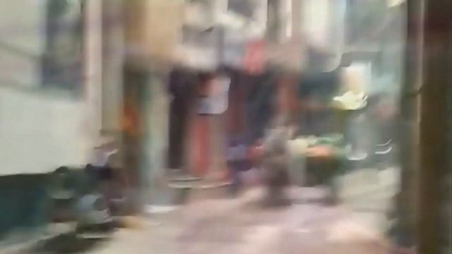 Лошадь в Деле / Лошадь против Верблюда, Собаки, Быка смотреть онлайн