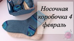 СП Носочная коробочка- 4 с Катериной Шурм / Отчет за февраль