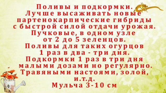 Огурцы в теплице, питание, уход, защита от вредителей и заболеваний смотреть онлайн