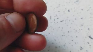 Монеты стран мира. №2 Евроценты,лев,пенсы,пфеннинги,бани.